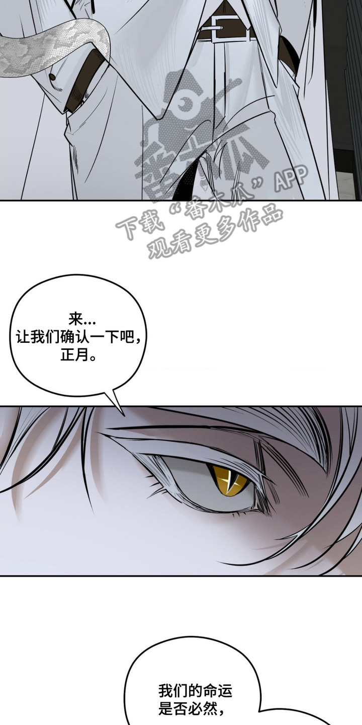 月下蛇影 - 无头蛇 - 第28页