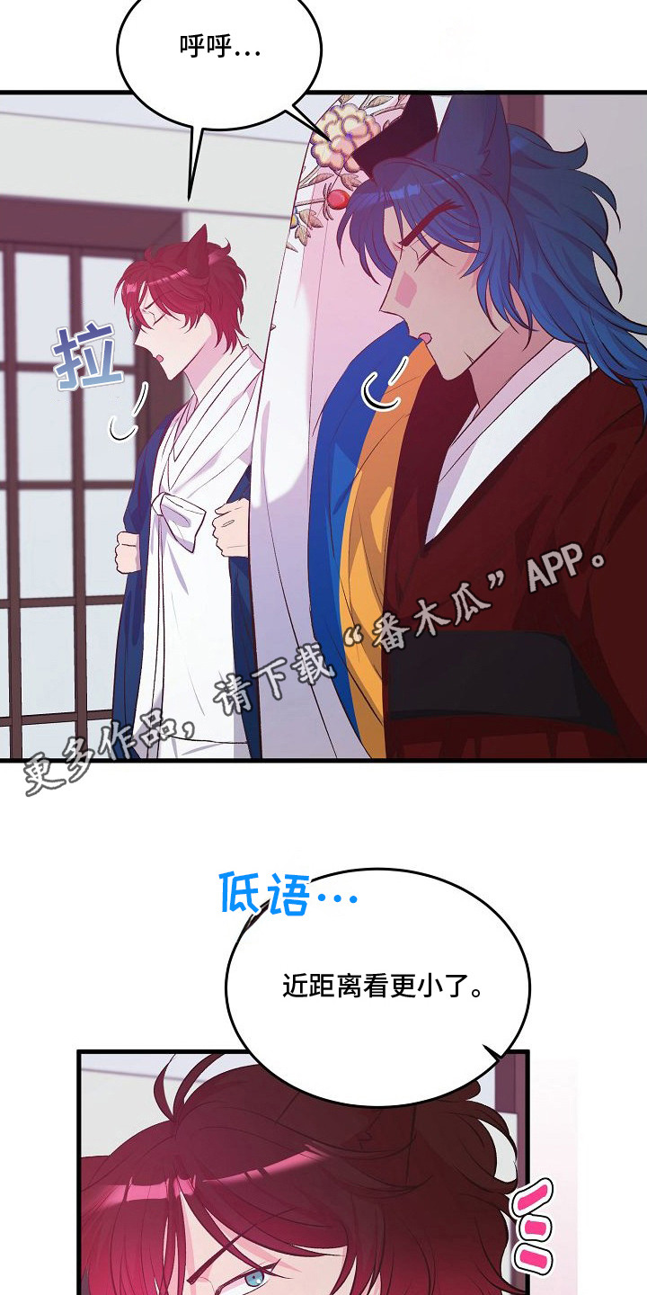 狼君与狐嫁 - 联姻 - 第15页