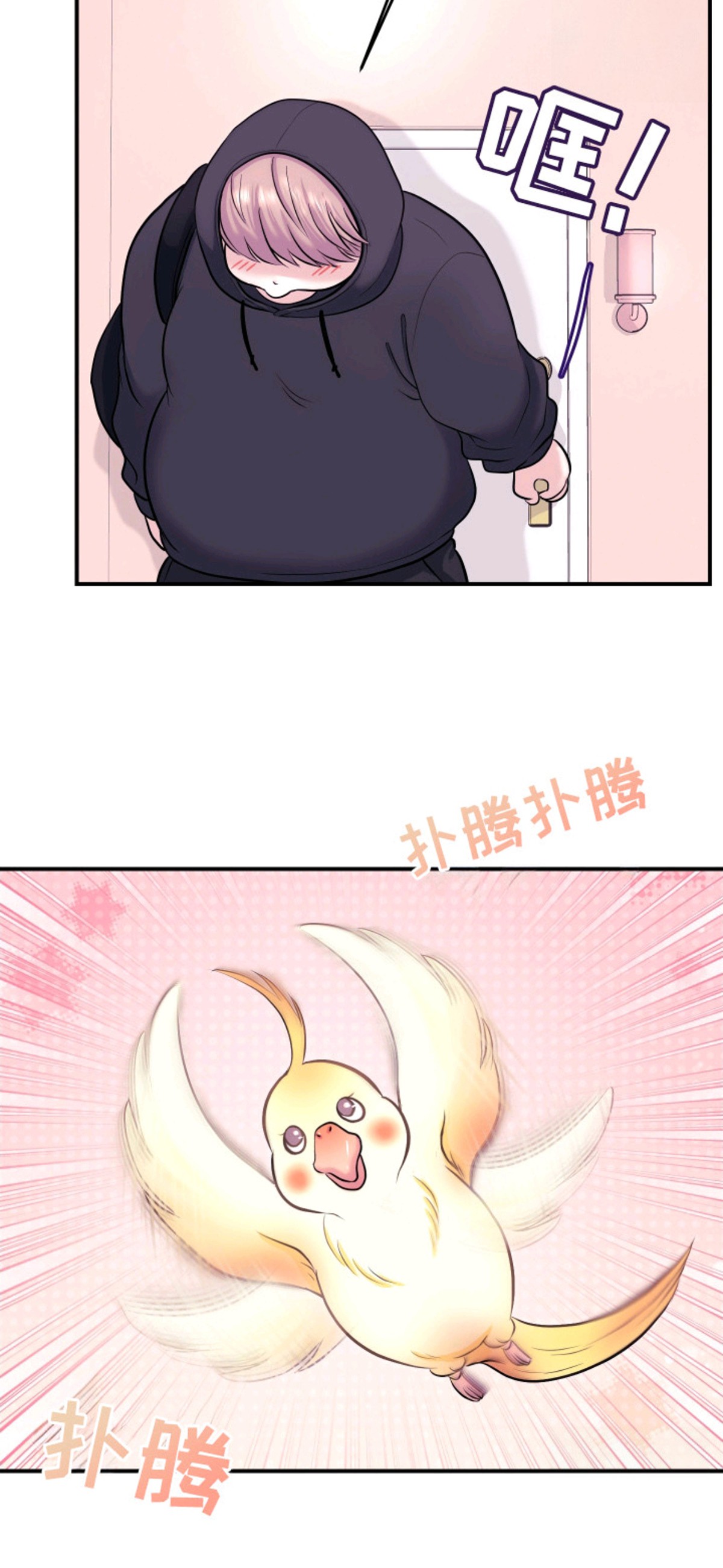 瑕疵品改造计划 - 忍耐 - 第13页