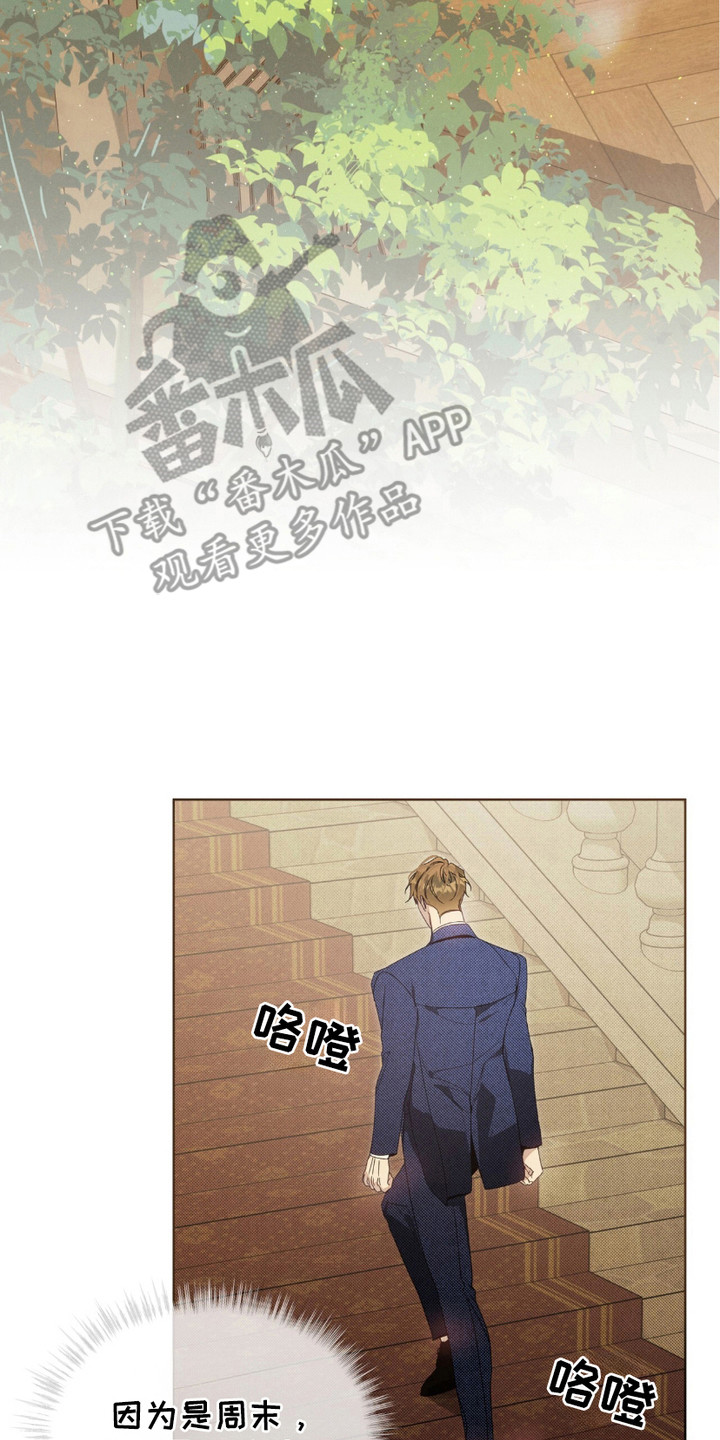 不幸牢笼 - 鞭打 - 第9页