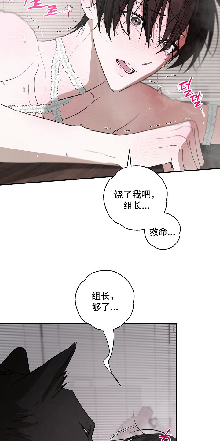 塔中猎物 - 狼人 - 第13页