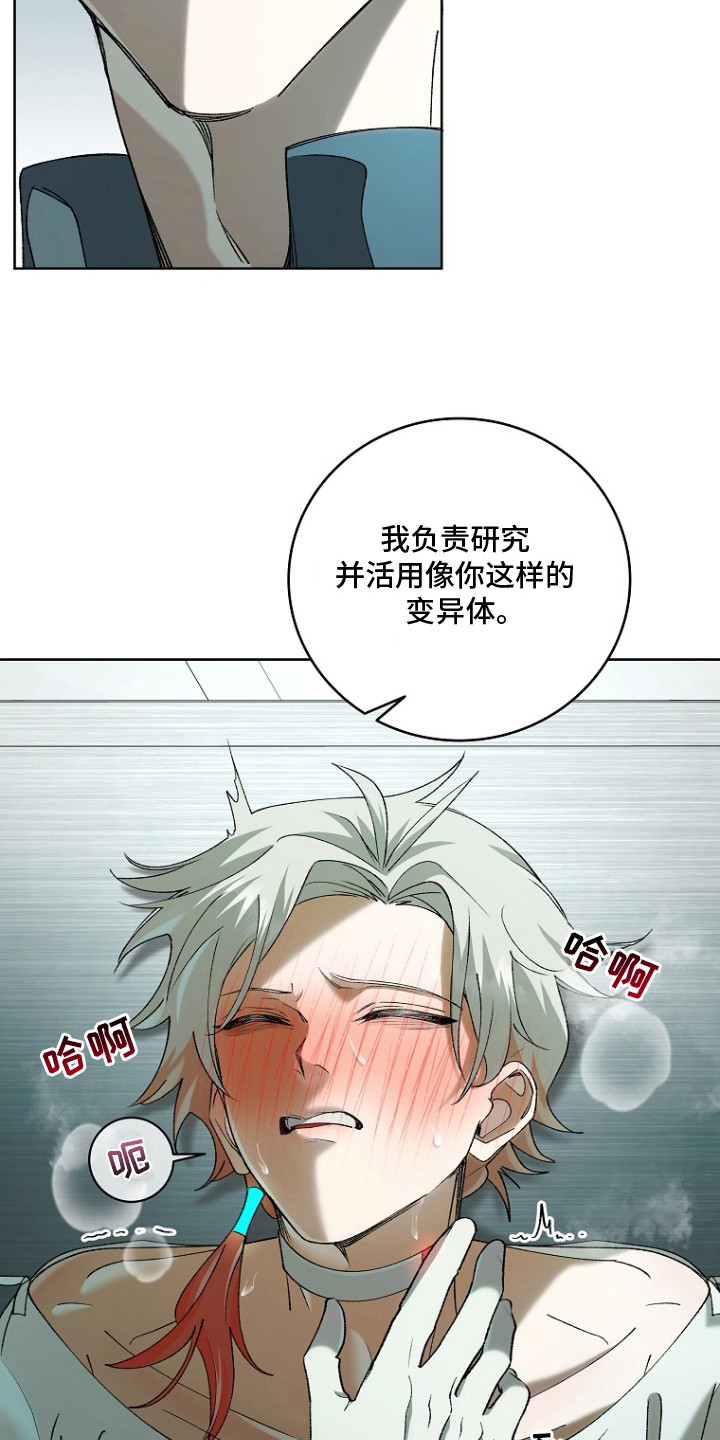 蔚蓝囚笼 - 特效药 - 第16页