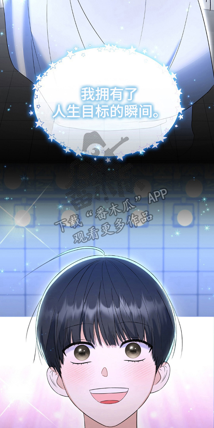 偶像日记 - 人生目标 - 第11页