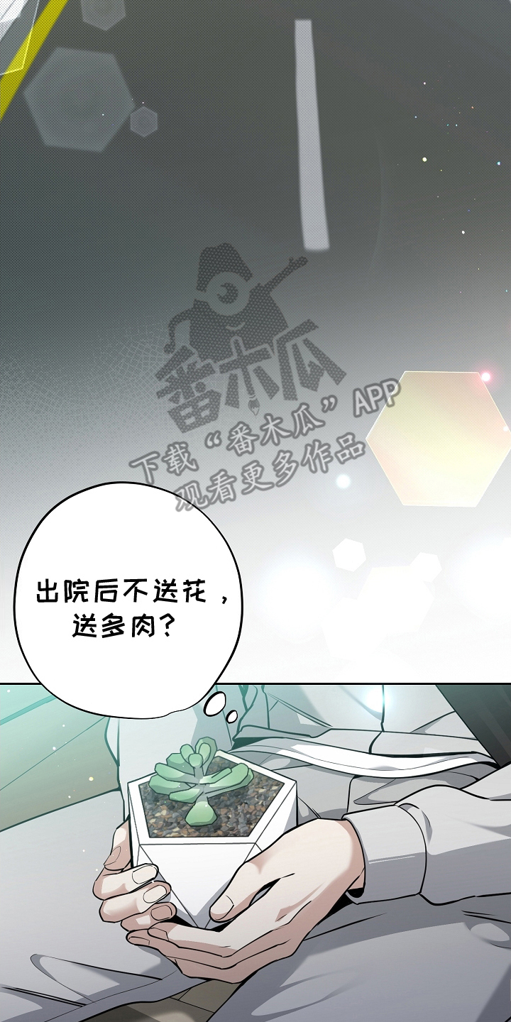 攻略枕边人 - 不正常 - 第5页