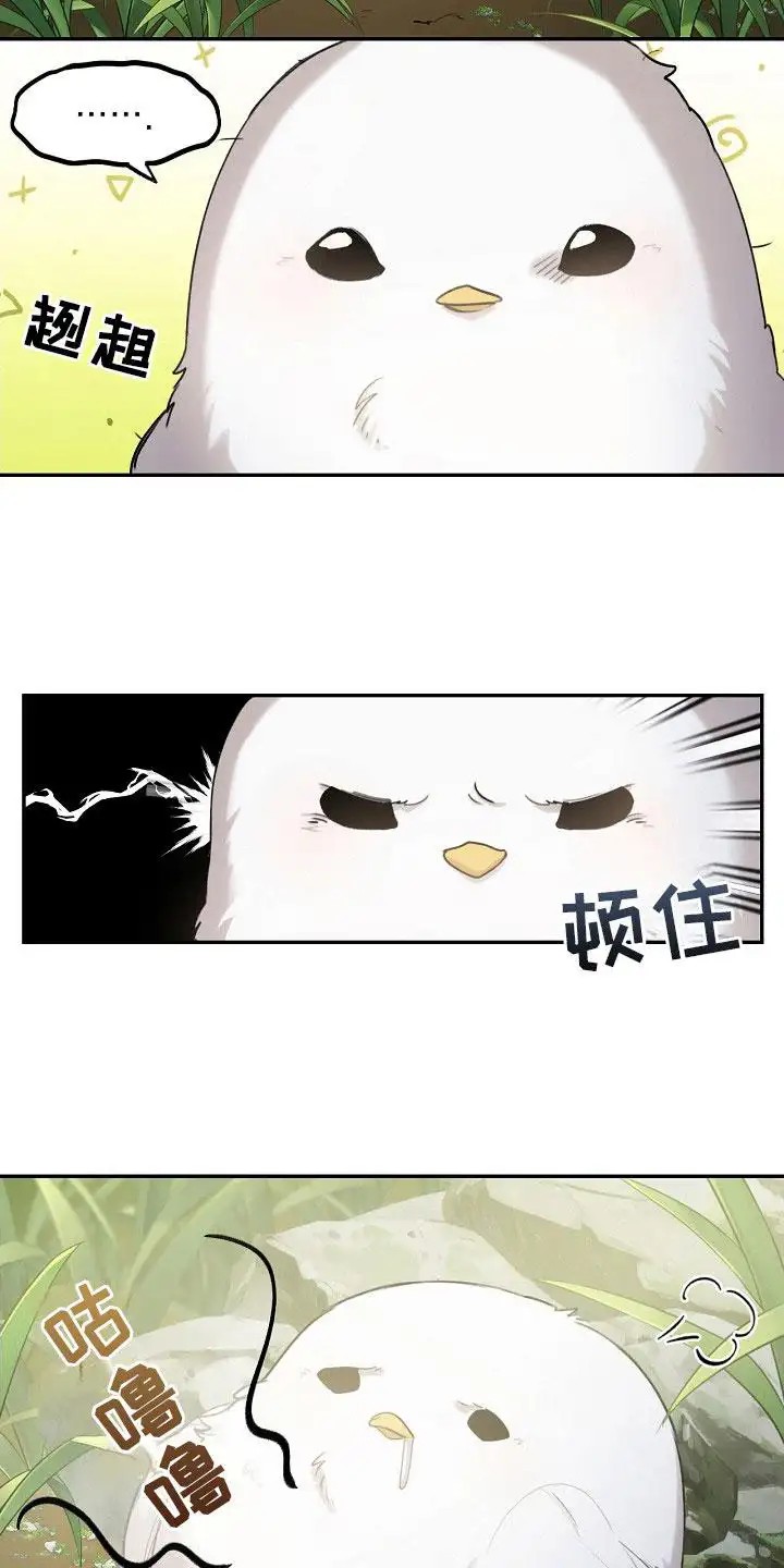 白鸟奇遇记 - 白色小鸟 - 第17页