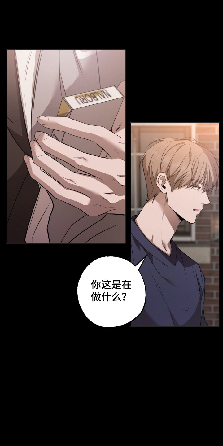 温柔谎言 - 曾经的记忆 - 第21页