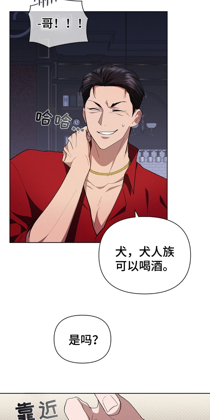 不要招惹小狗 - 传闻 - 第11页