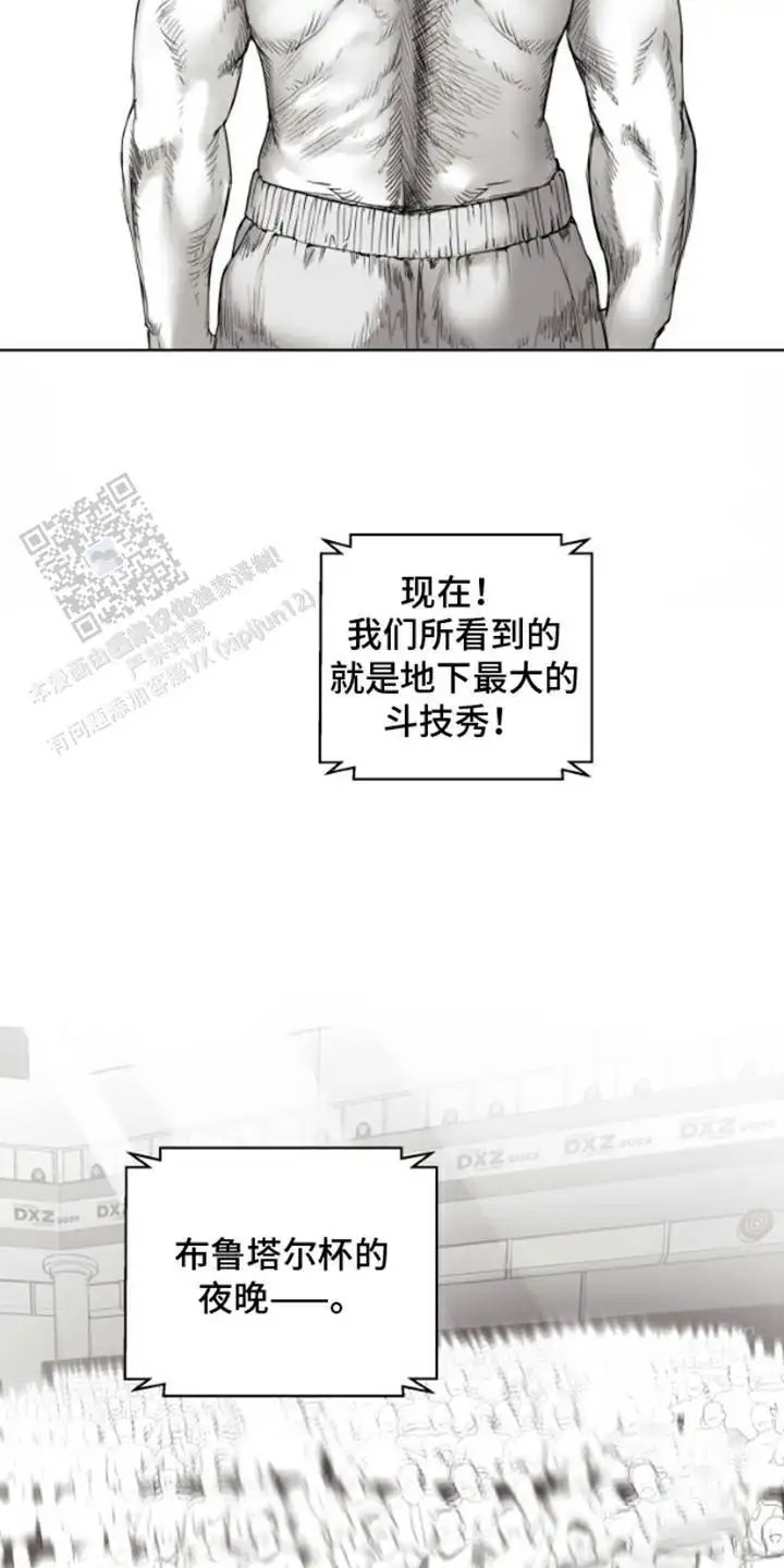 不屈的冠军 - 地下斗技场 - 第17页