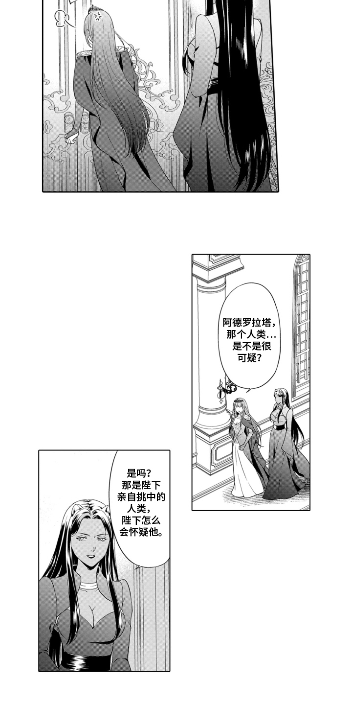 魔王大人请小心 - 可疑 - 第12页