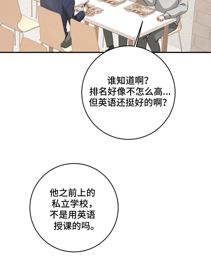 蒲公英观察日 - 话题 - 第17页