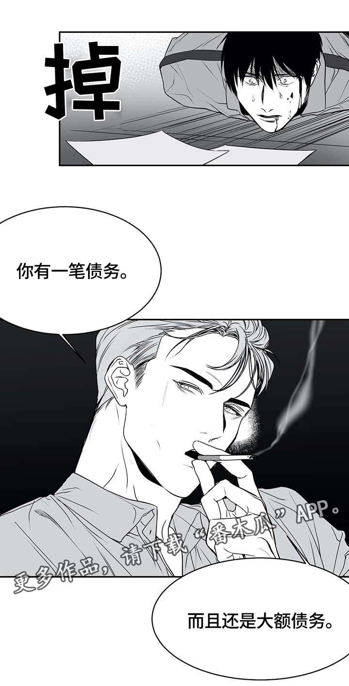 不走路的腿 - 债务 - 第5页