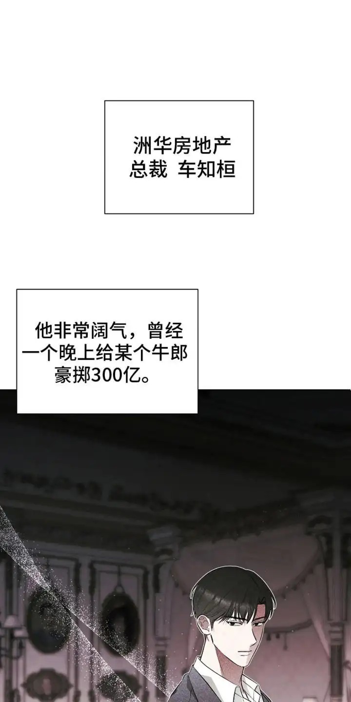 坏苹果替代品 - 喜欢的类型 - 第16页