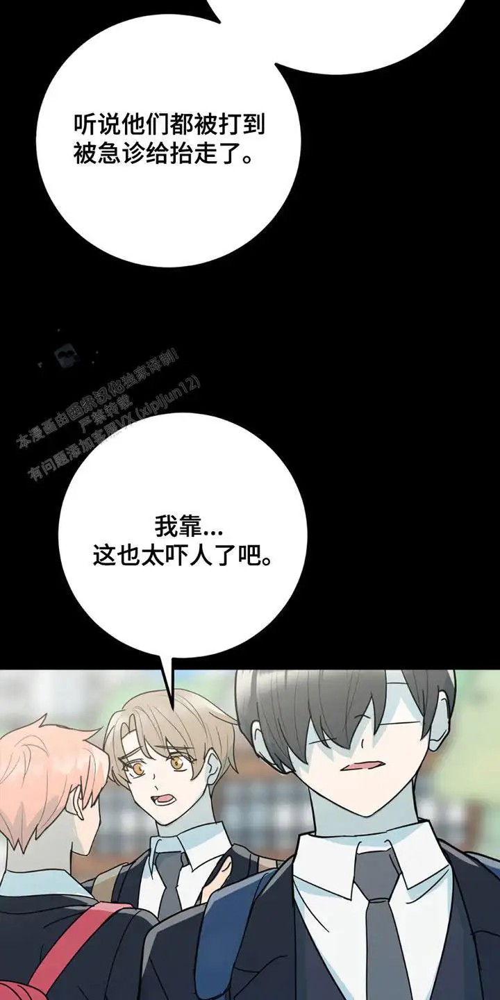 互补人生 - 照片 - 第28页