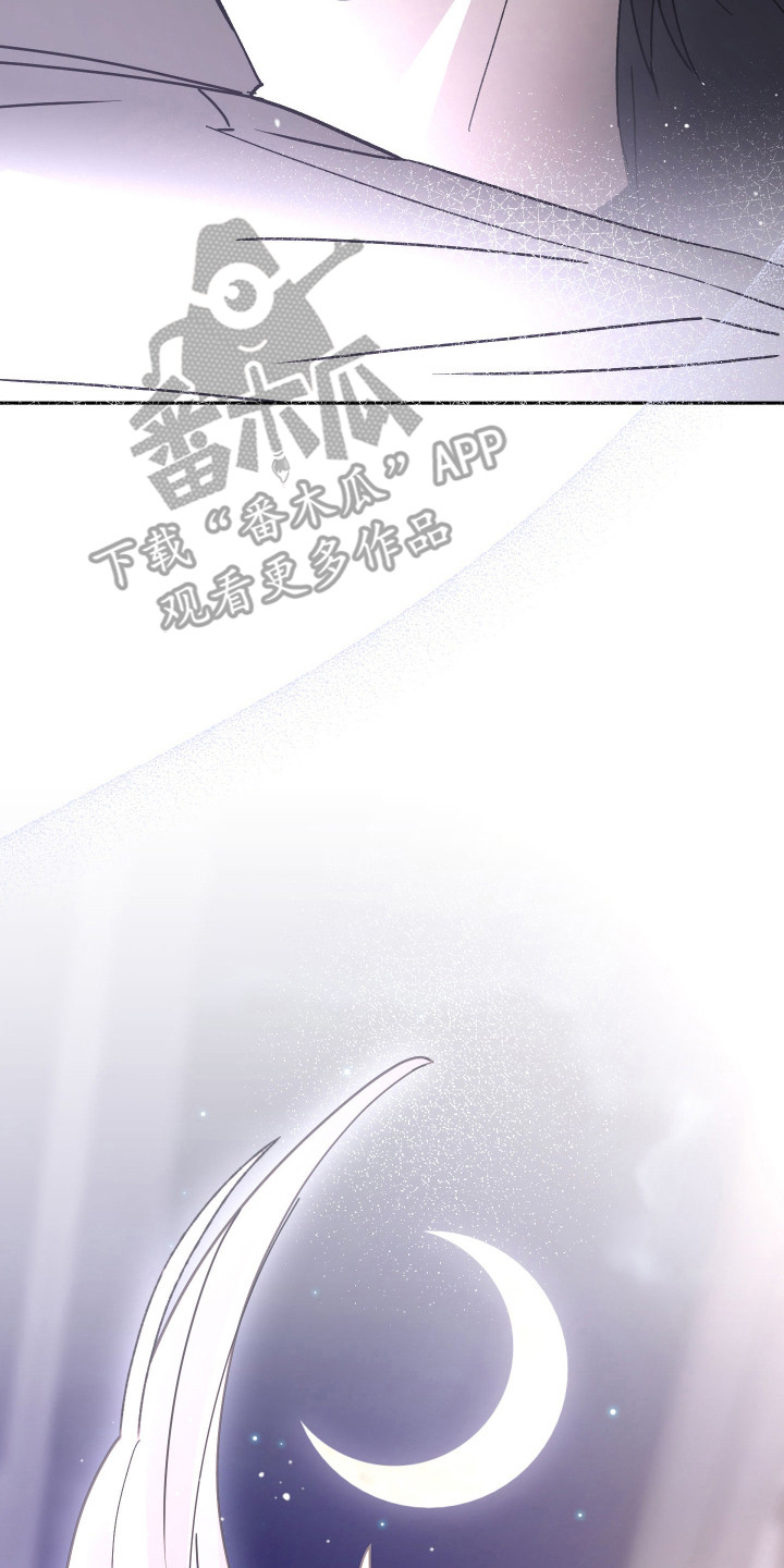 我的狐妖同事 - 最后的办法 - 第21页