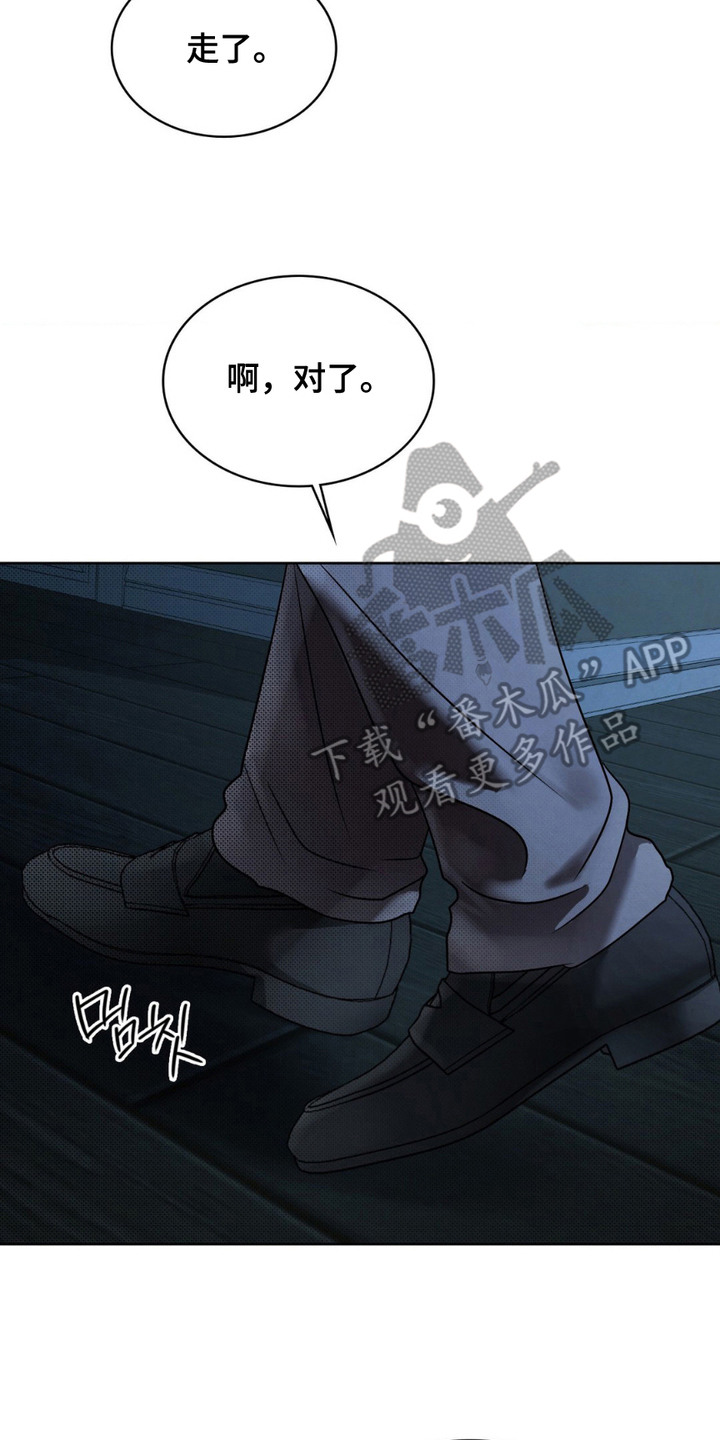 画中人 - 黑匣子 - 第15页