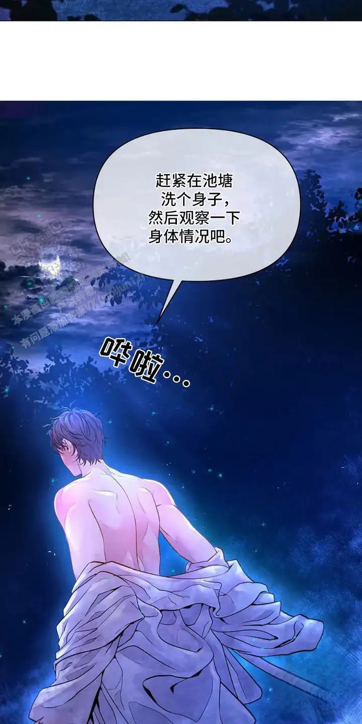 乱世之花 - 准备出征 - 第25页