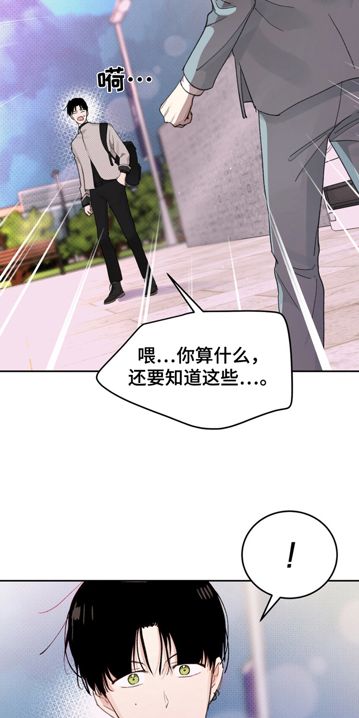 随声而动 - 大胆的决定 - 第16页