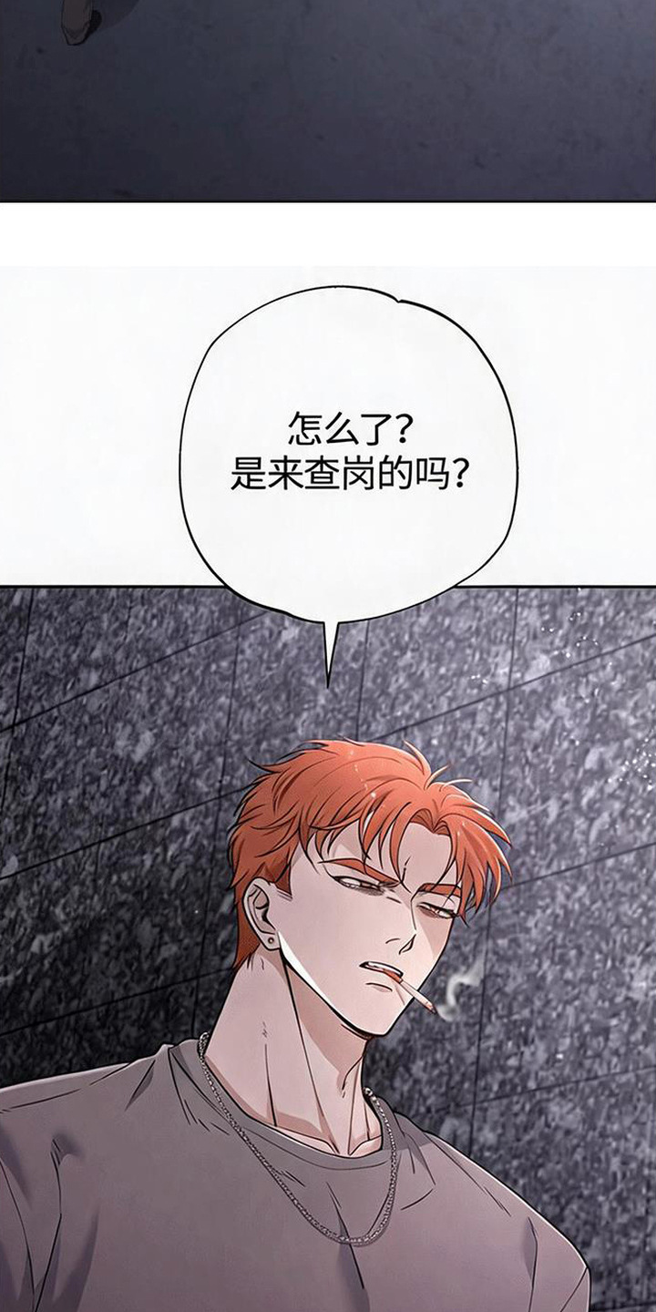 星光狼影 - 挨揍 - 第17页