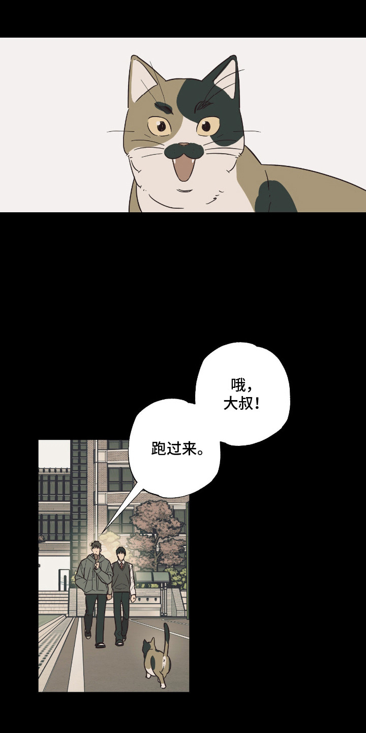 猫大爷和我 - 老朋友 - 第20页