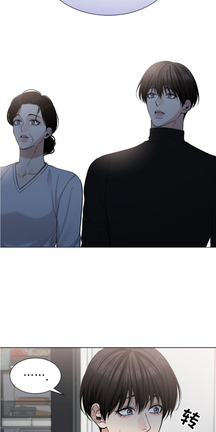 双向反转 - 解释 - 第7页