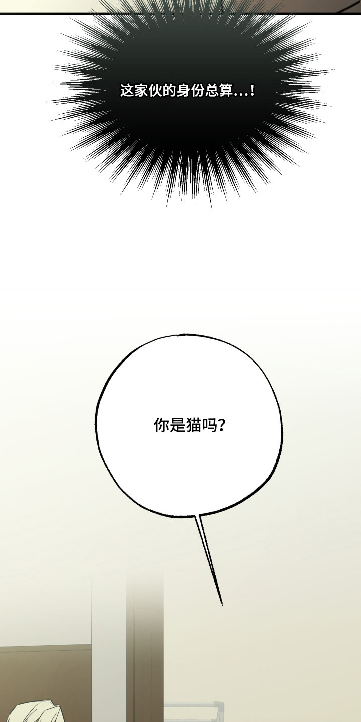 我的狐妖同事 - 你是猫吗 - 第20页