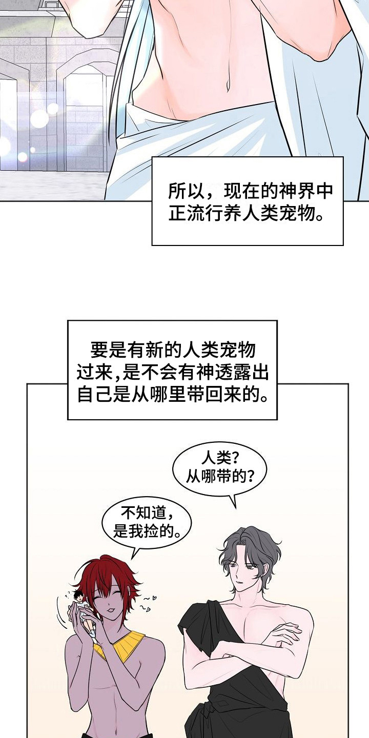 饲养计划 - 人类宠物 - 第9页