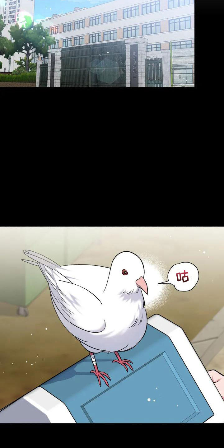 把我的政宇还给我 - 把我的正宇还给我-想结婚 - 第13页