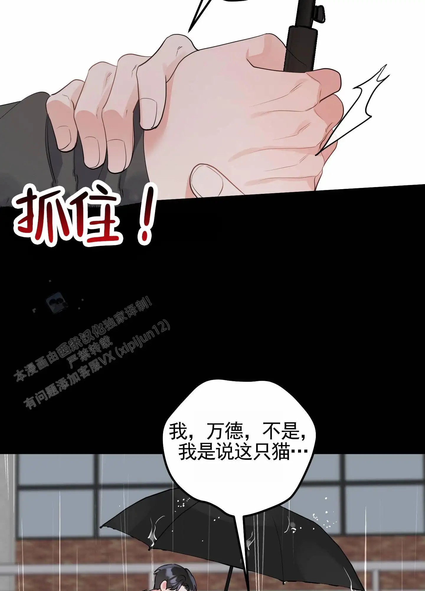 我的猫系男友 - 相识 - 第34页