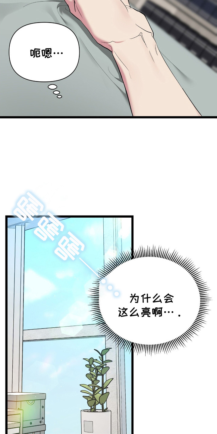 重回巅峰 - 开心的梦 - 第7页