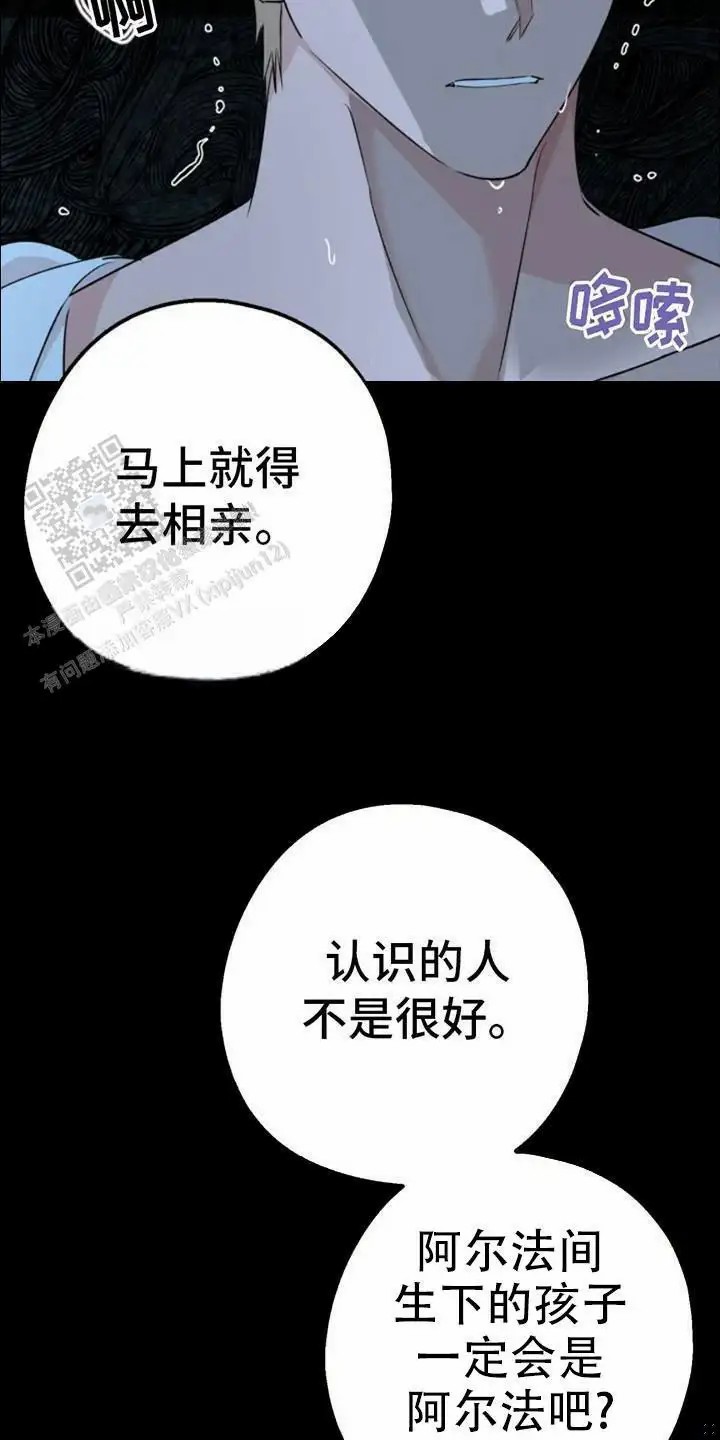 高墙之下 - 动弹不了 - 第15页