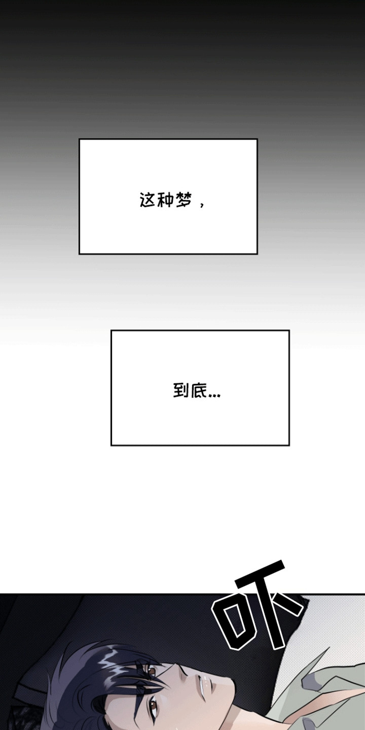 暗夜追凶 - 做梦 - 第18页