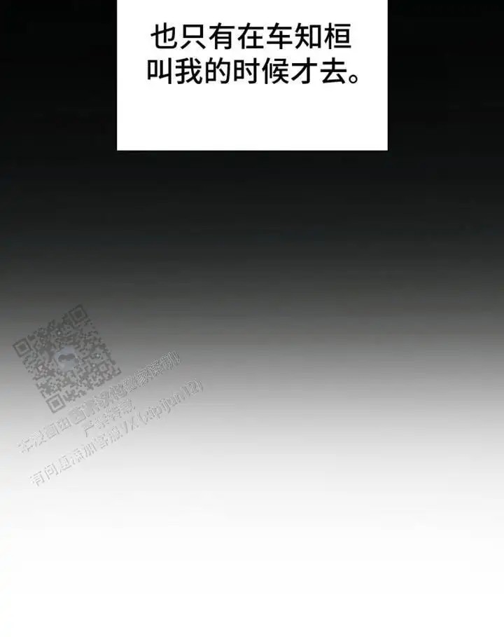 坏苹果替代品 - 计划成功 - 第22页
