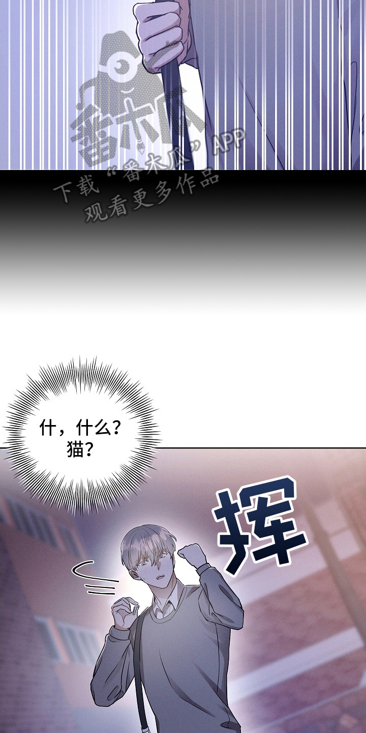 成为皇太子妃 - 有人跟着 - 第23页