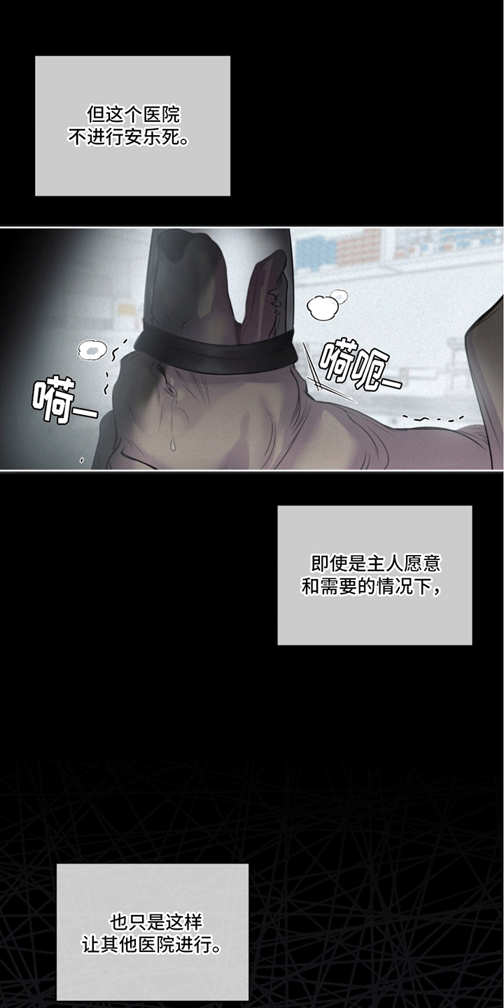 呼吸的记忆 - 兽医 - 第28页