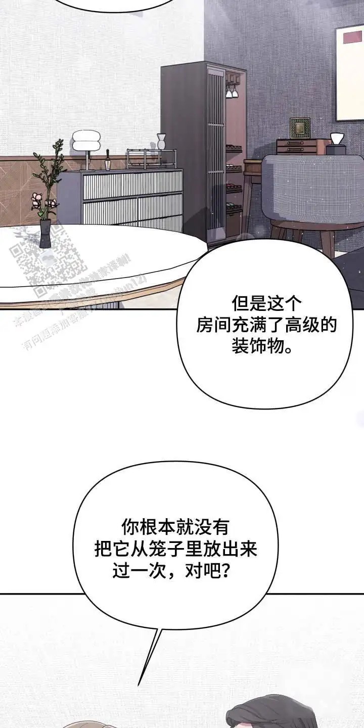 猛宠旧情 - 老熟人 - 第6页