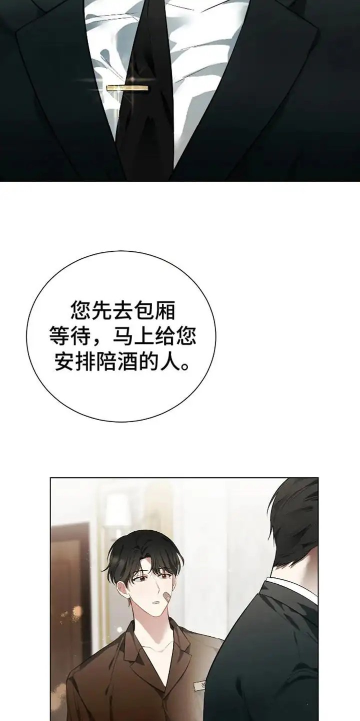 坏苹果替代品 - 喜欢的类型 - 第9页
