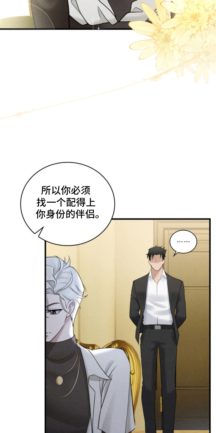 风险回报 - 催婚 - 第24页