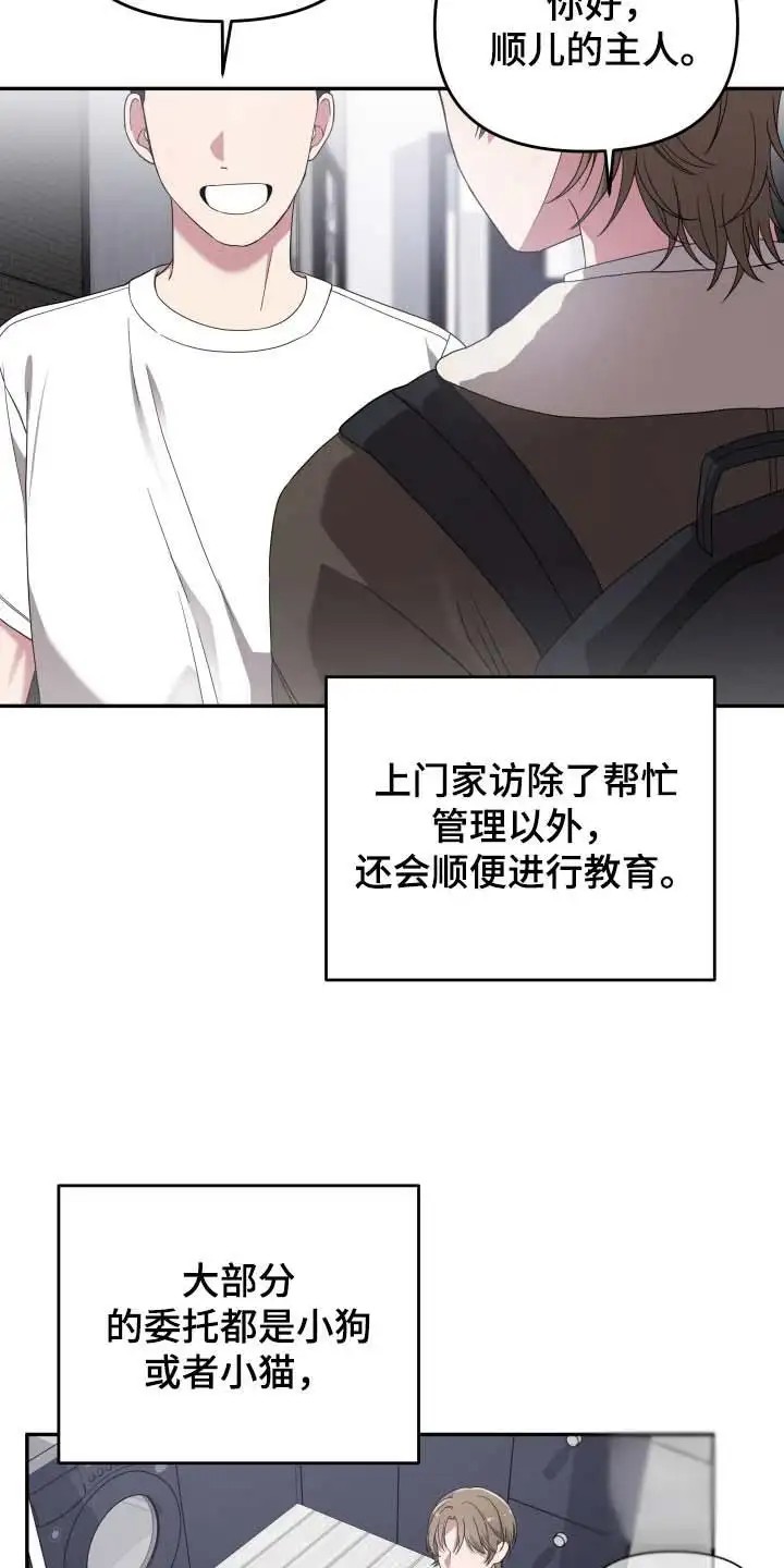 猛宠旧情 - 宠物管理 - 第9页