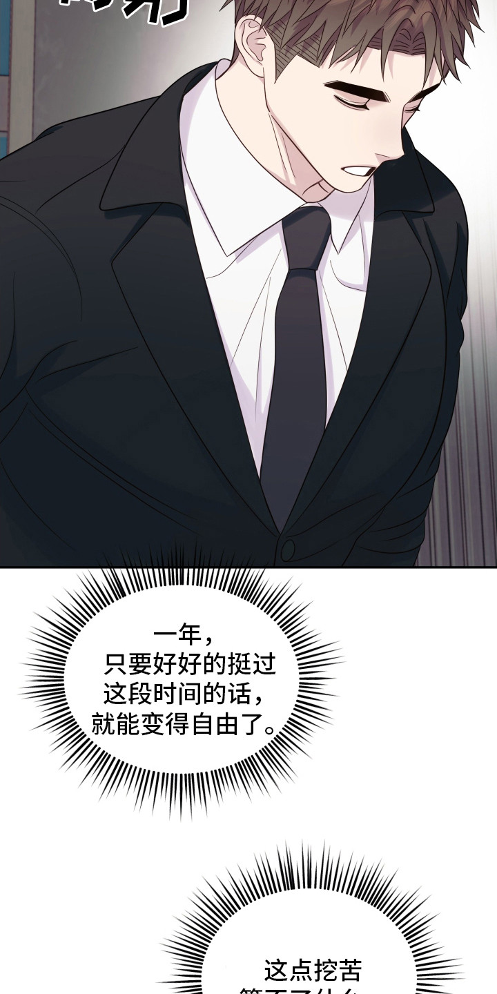 兔子保镖 - 双头蛇 - 第25页
