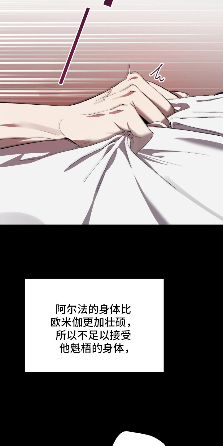 双A法则 - 不合适的拼图 - 第14页