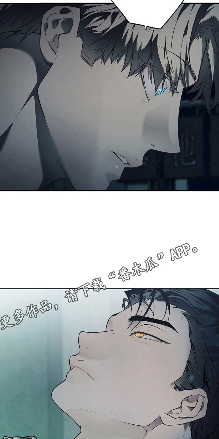 普雷 - 线索 - 第12页