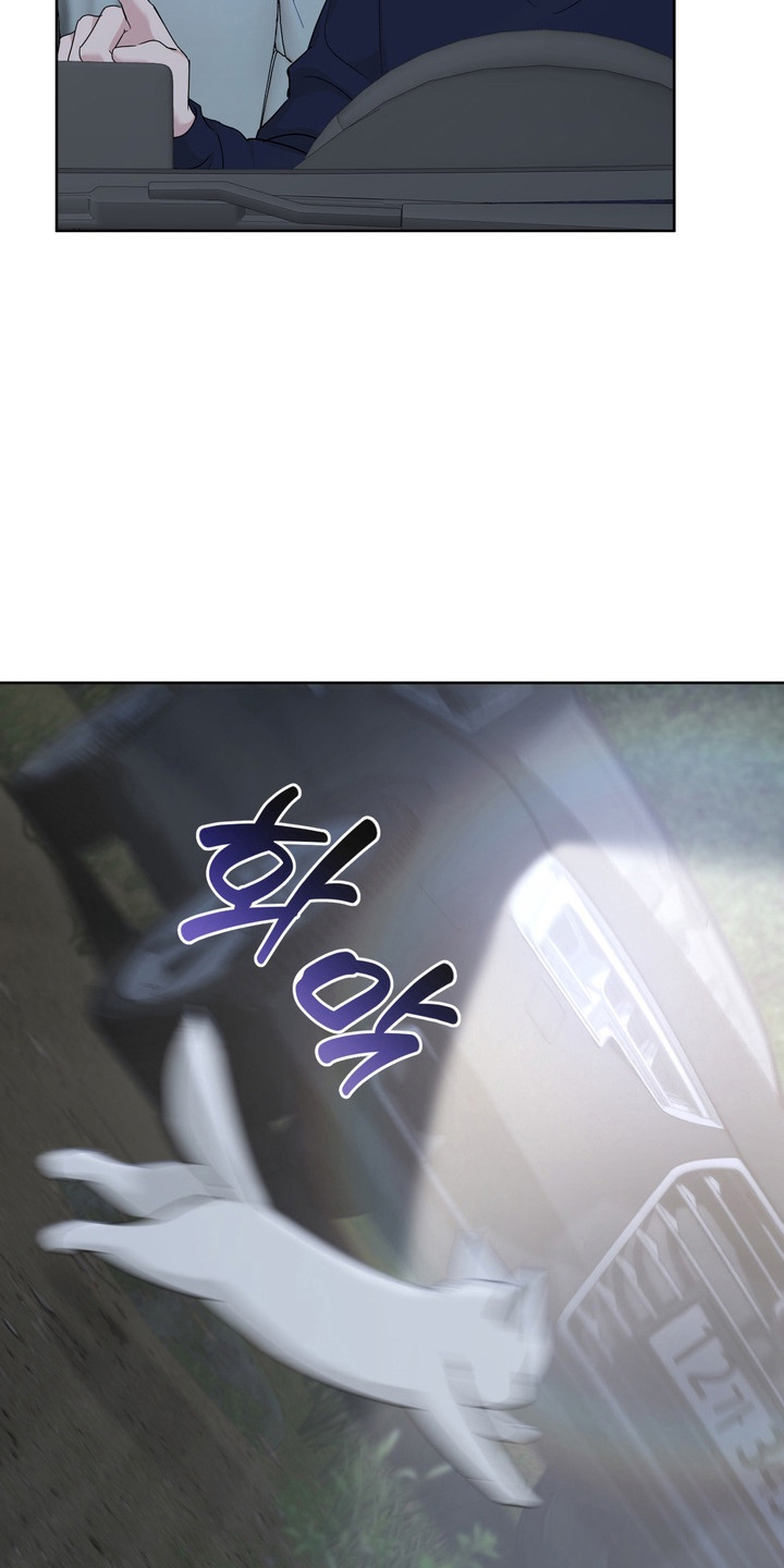 白狐日记 - 白狐 - 第17页