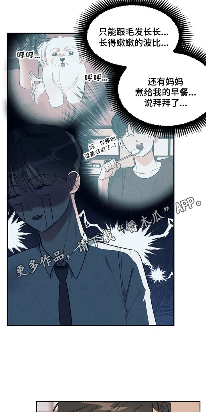 同居申请 - 我也能搬进来吗？-找房子 - 第12页