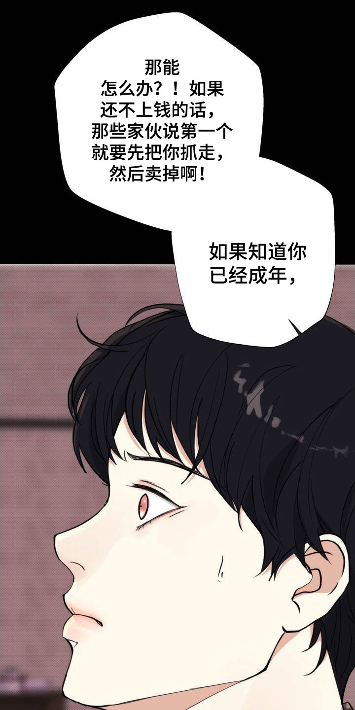 爱情岛 - 高利贷 - 第10页