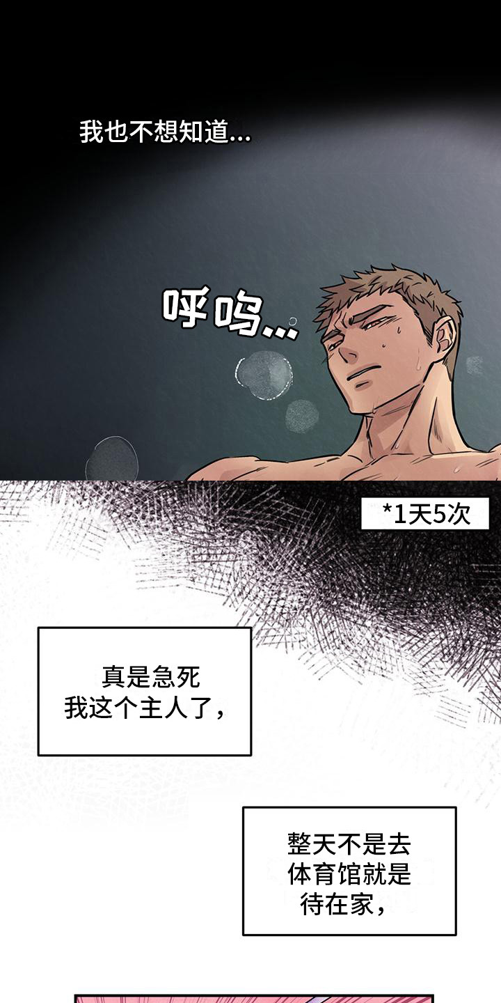 哈尼熊 - 铲屎官 - 第10页