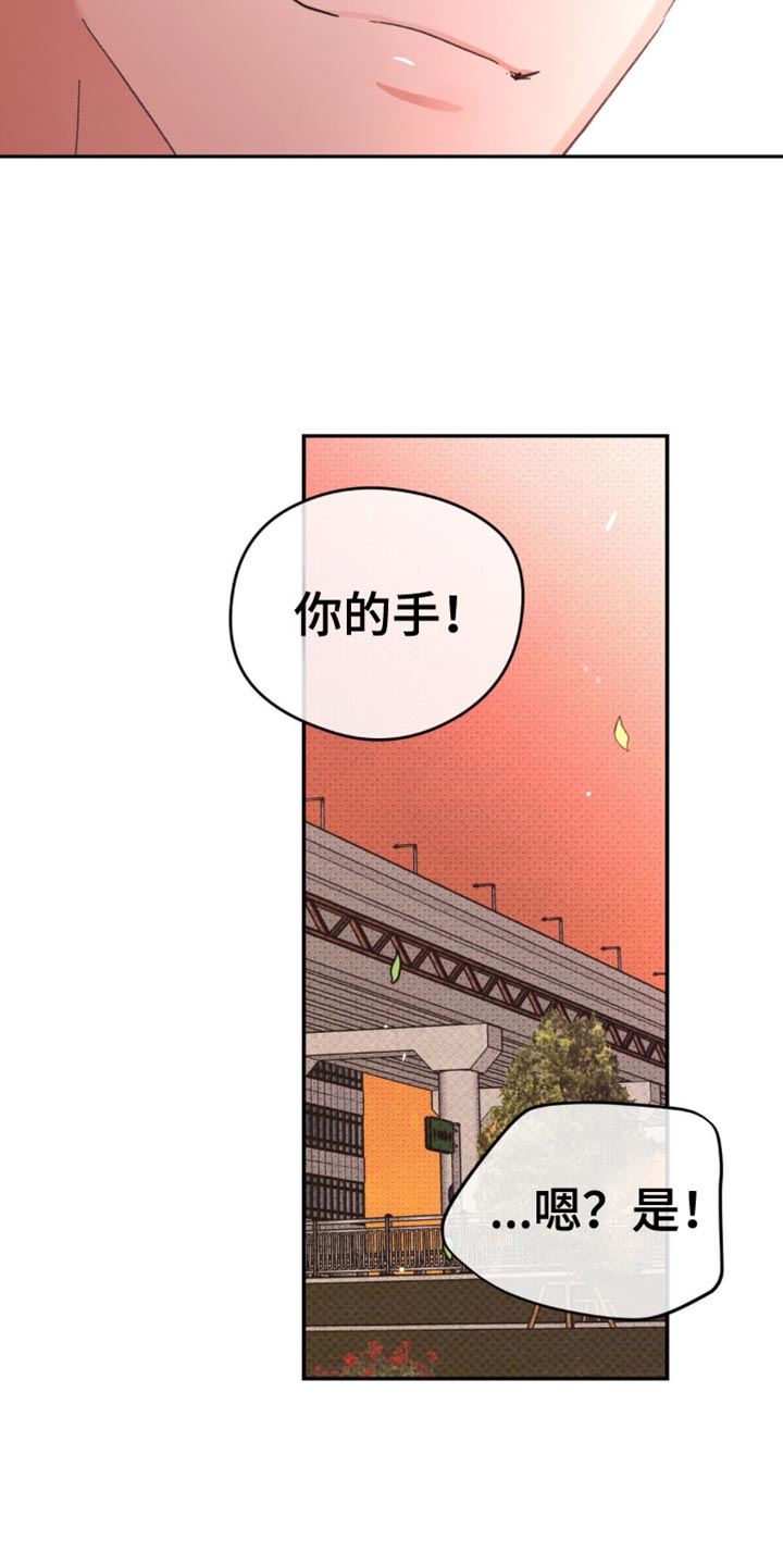 随声而动 - 我很爱你【完结】 - 第35页