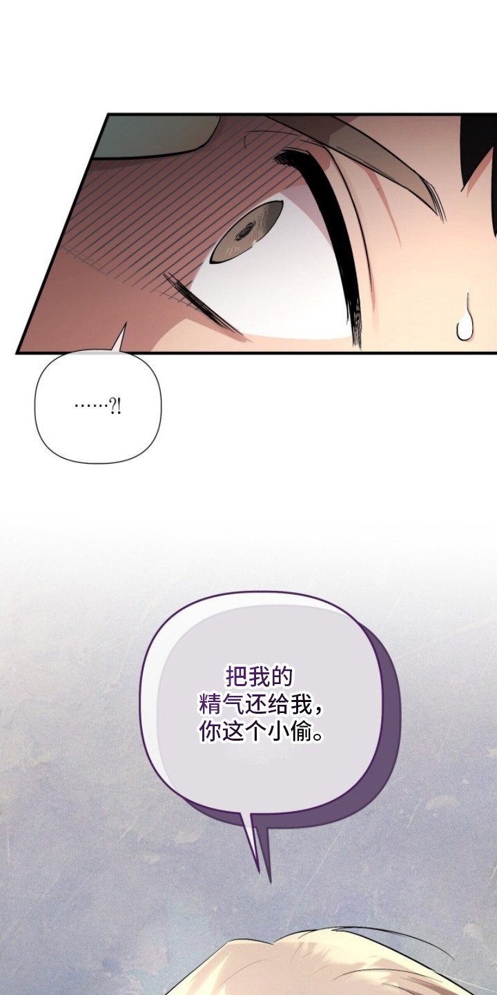 千年灵物盯上我 - 精气小偷 - 第19页