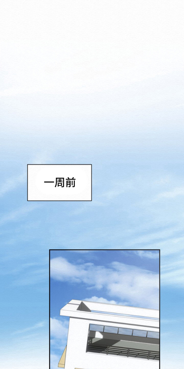 沉香记忆 - 生日 - 第15页