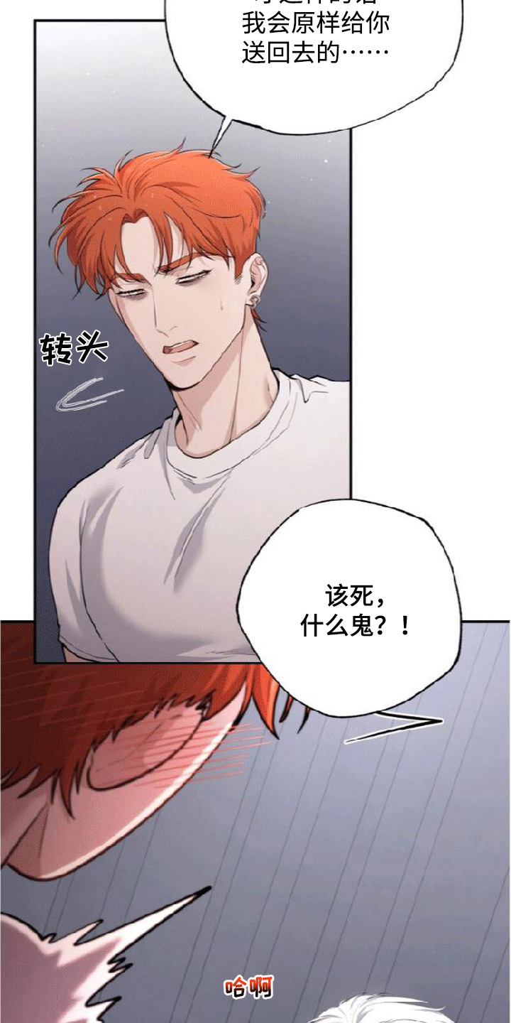 星光狼影 - 委屈 - 第20页