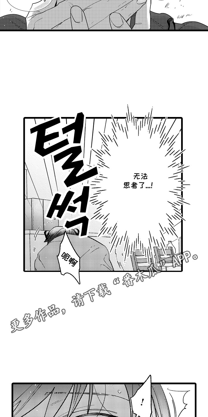 雪豹成长记 - 自作主张 - 第6页